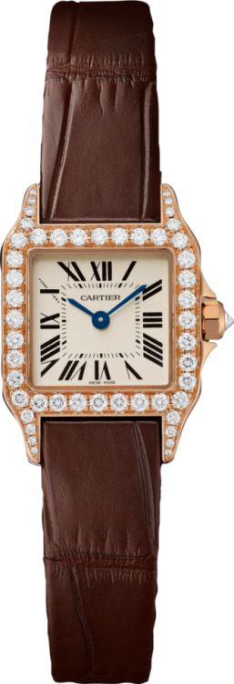 de Cartier Santos Demoiselle Watch WF902004