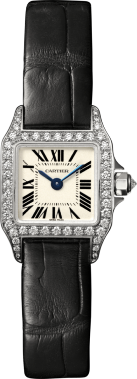 de Cartier Santos Demoiselle Watch WF902005
