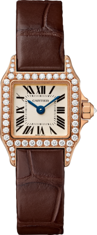 de Cartier Santos Demoiselle Watch WF902006