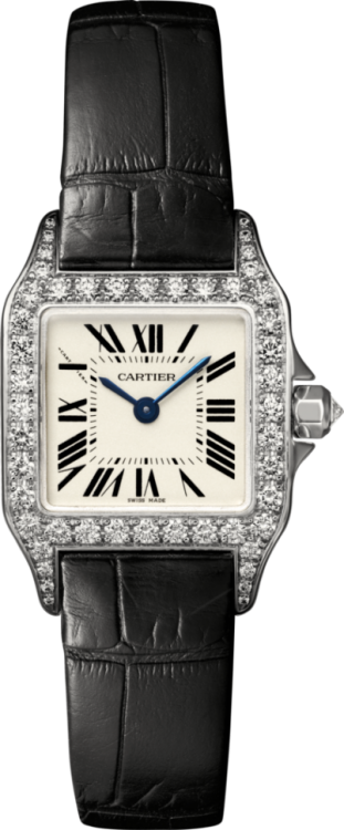 de Cartier Santos Demoiselle Watch WF902007