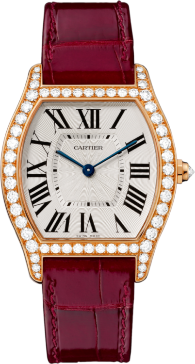 Cartier Tortue WA501008