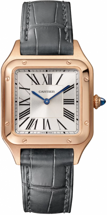 Cartier Santos-Dumont Watch WGSA0117