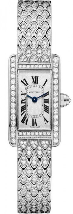 Cartier Tortue Americaine Watch HPI00724
