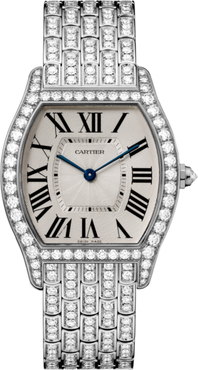 Cartier Tortue Watch HPI00779
