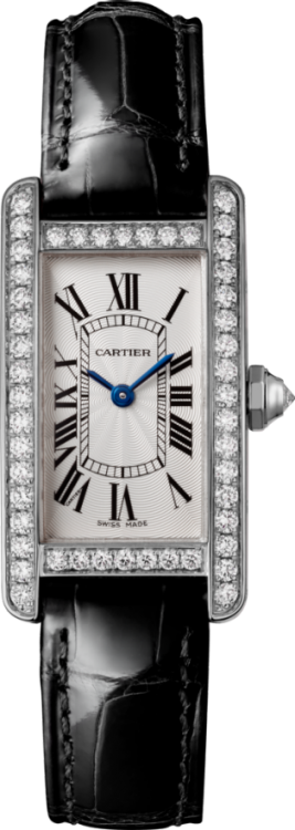 Cartier Tank Americaine Watch WJTA0029