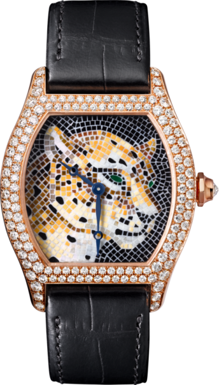 Cartier Creative Jeweled Watches HPI00721