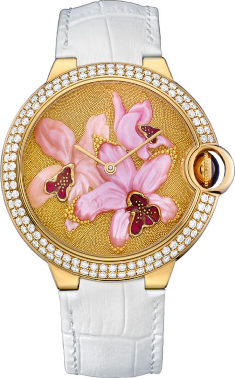 Cartier Creative Jeweled Watches HPI00743