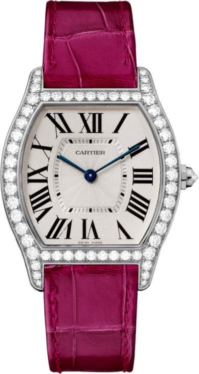 Cartier Tortue Watch WA501009