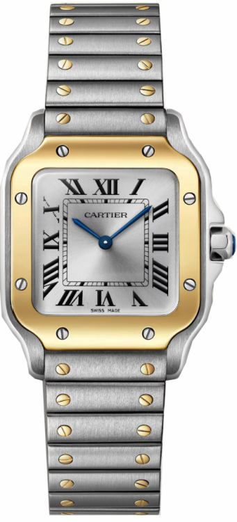 Santos De Cartier Watch W2SA0033
