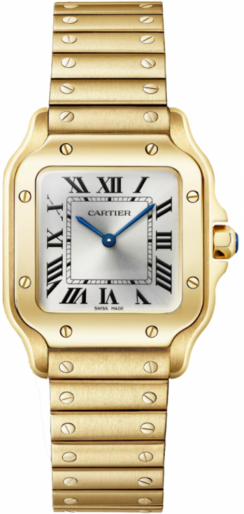 Santos De Cartier Watch WGSA0107