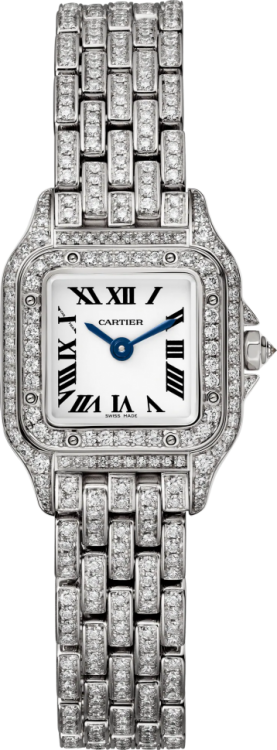 Panthere de Cartier HPI01641