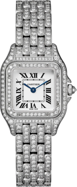 Panthere de Cartier HPI01643