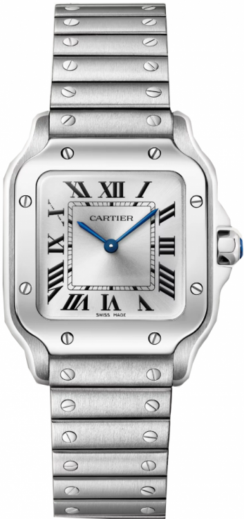 Santos De Cartier Watch WSSA0082