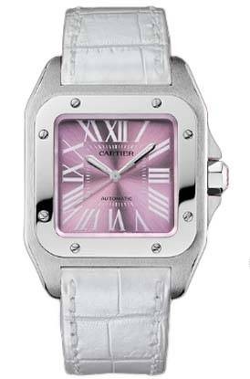 Cartier Santos 100 W20133X8