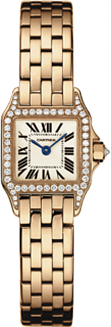 de Cartier Santos Demoiselle Watch WF9011Z8