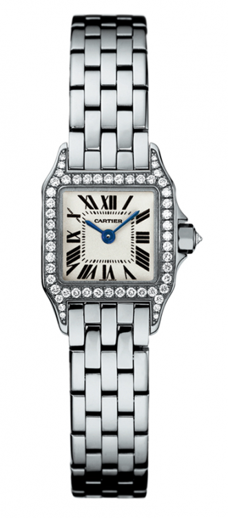 Cartier Santos Demoiselle Mini Ladies WF9005Y8
