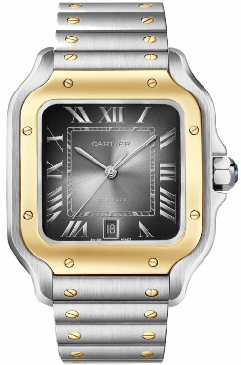 Santos De Cartier Watch W2SA0030