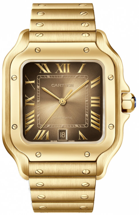 Santos De Cartier Watch WGSA0095