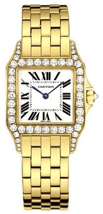 Cartier Santos Demoiselle WF9002Y7
