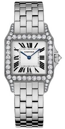 Cartier Santos Demoiselle WF9004Y8